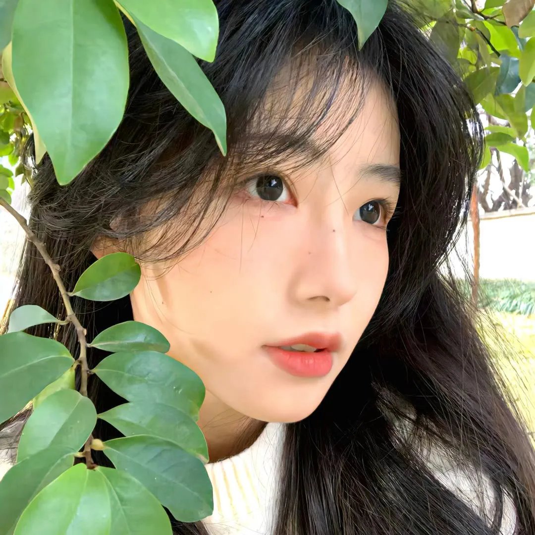 冬之华 在线观看